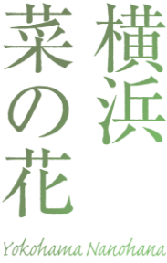 横浜菜の花