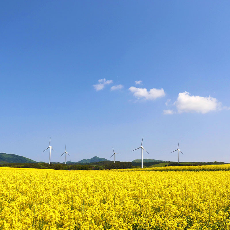 合同会社下北半島行商隊
