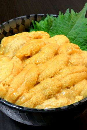 うに丼