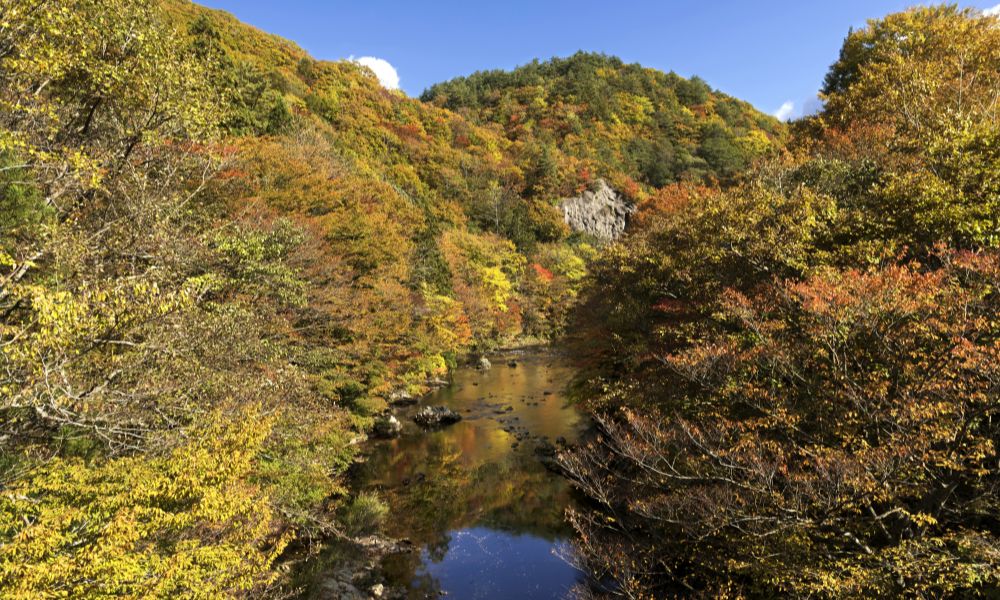 むつ市川内地区