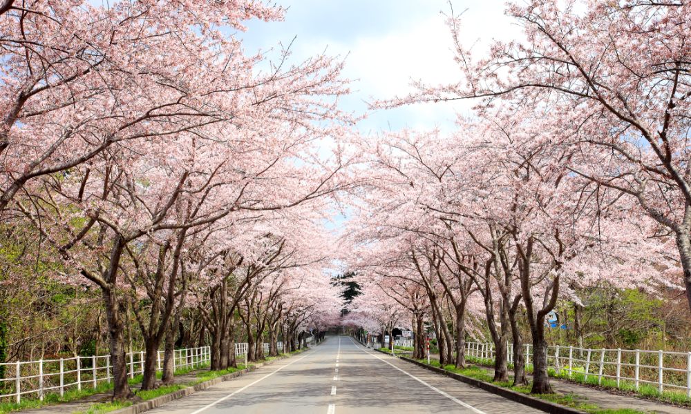 むつ市大畑地区