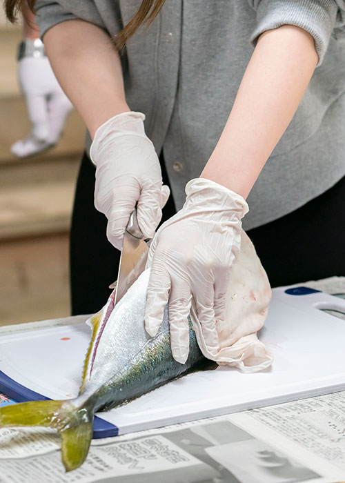 Shimokita Deep Experience